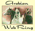 The Arabian WebRing